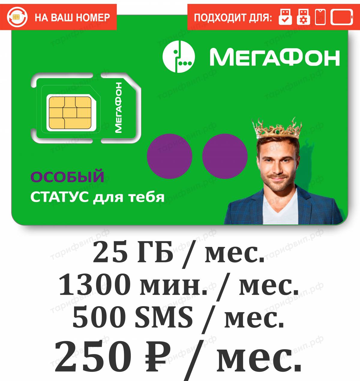 Тариф Мегафон Фортуна VIP 250 (Федеральный Специальный)